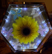 Enchanted Garden in Glass